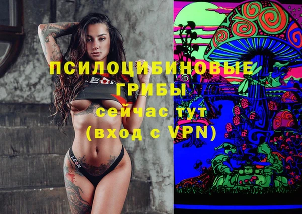 стаф Белокуриха