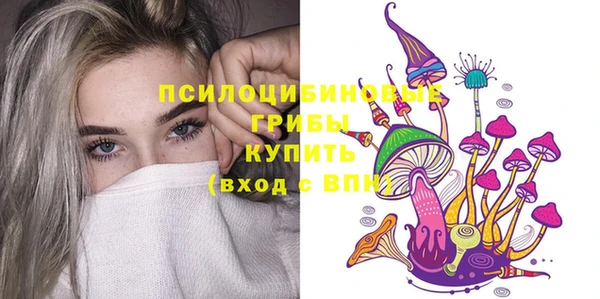 стаф Белокуриха