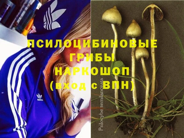 mdpv Осинники