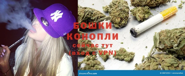 стаф Белокуриха
