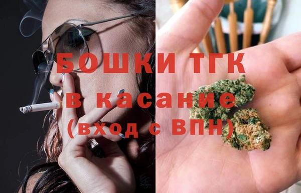 стаф Белокуриха