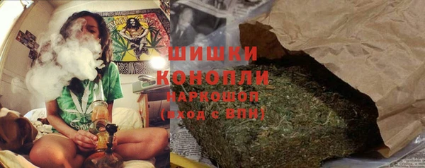 стаф Белокуриха