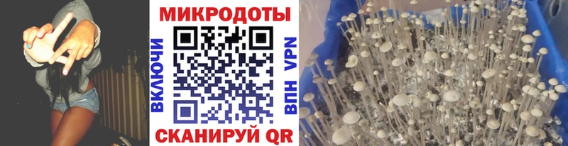 Галлюциногенные грибы ЛСД  цены   Шадринск 